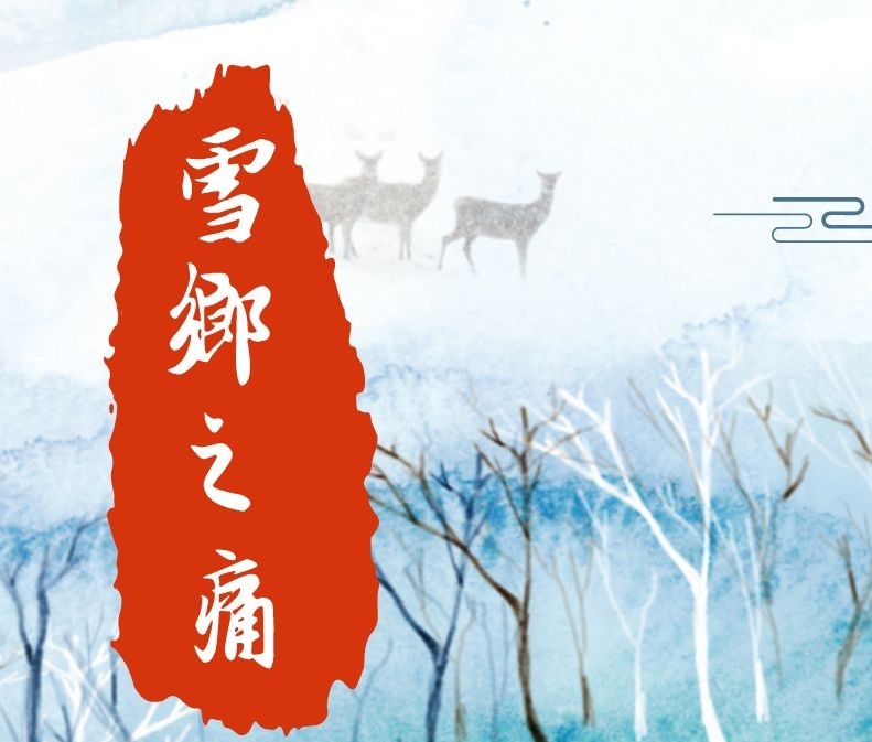 把輿情防控?cái)[在第一位？雪鄉(xiāng)事件暴露出旅游品牌建設(shè)短板